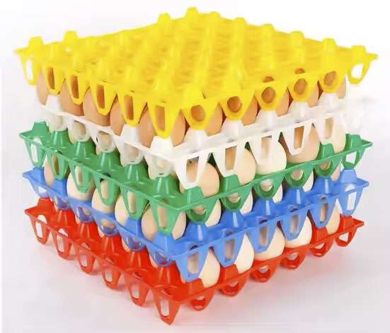 plastic egg tray molds